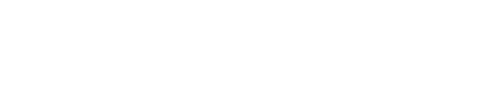 BJJ Industry